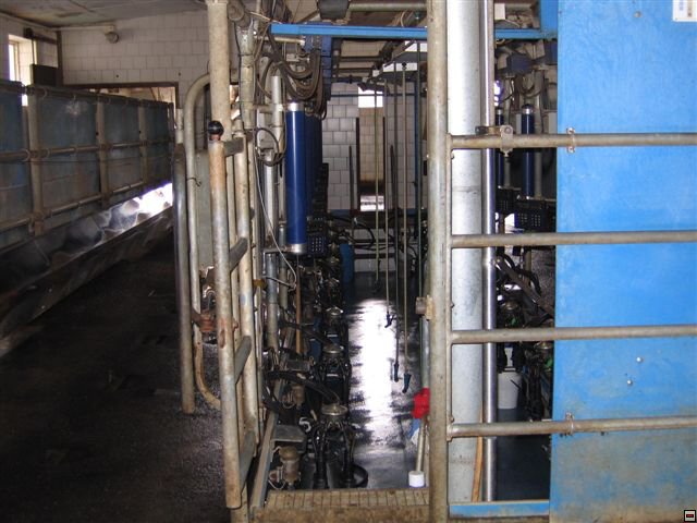 Troubelice 2006 012.jpg